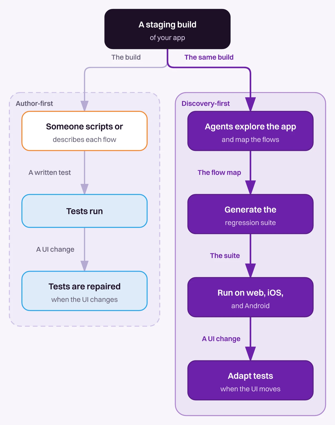 Author-first and discovery-first mobile testing paths from the same staging build